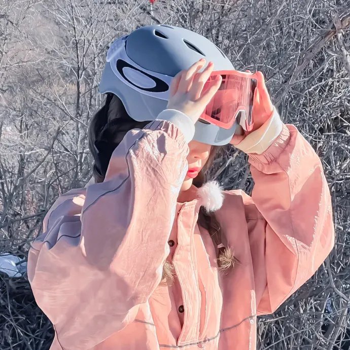 巨幅宝丽莱大师高清海报